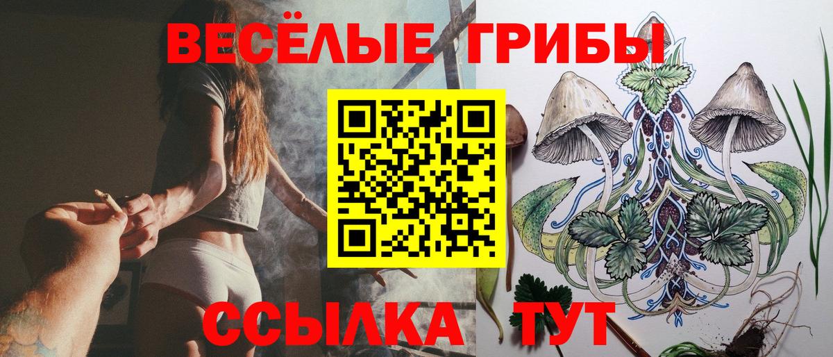 Новочебоксарск  Галлюциногенные грибы ЛСД  Вход с VPN 